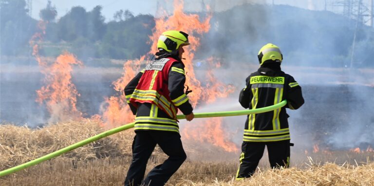Die Feuerwehr Dorsten rückte in den vergangenen Tagen zu mehreren Bränden in der Natur aus.