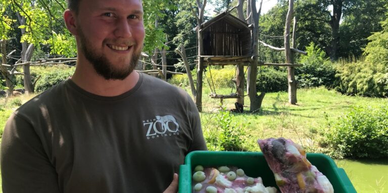 Im Dortmunder Zoo bekommen die Tiere kalte Erfrischungen beim aktuell heißen Wetter.