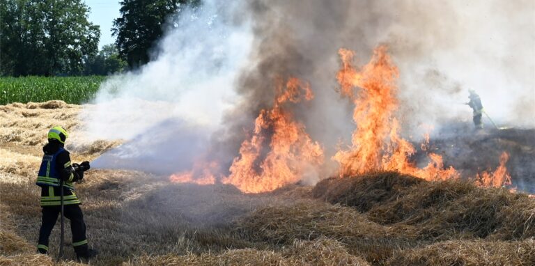 Gras und Felder sind durch die Trockenheit besonders gefährdet, Feuer zu fangen (Symbolbild)