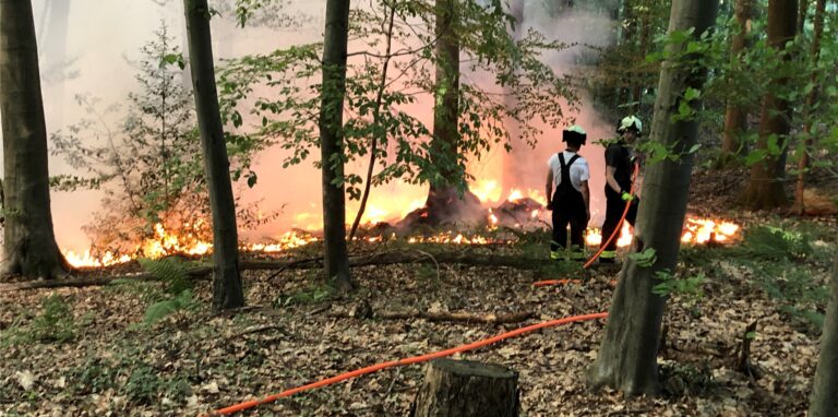 Feuerwehrleute löschen einen Waldbrand in Hennef.