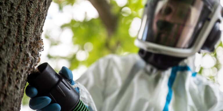Michael Mees, Baumpfleger beim Grünflächen, saugt in Schutzkleidung aus einem Hubsteiger heraus ein Nest des Eichenprozessionsspinner mit einem Industriesauger ab. Die Schmetterlingsraupe ist durch ihre durch die Luft wirbelnden Härchen seit einigen Jahren in vielen Regionen NRWs zum Problem geworden. Die langen Brennhaare der Raupen, die im Frühjahr schlüpfen, können bei Menschen im Fall eines Kontakts schwere Hautreizungen und Atembeschwerden hervorrufen.