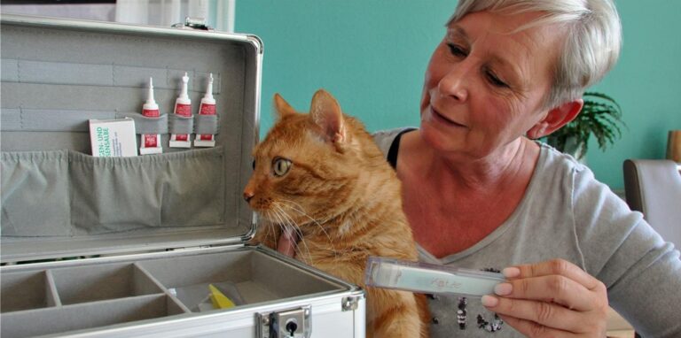 Conny Sander aus Dorsten kümmert sich seit über vier Jahren um Streunerkatzen. Jetzt steht ihr Projekt vor dem Aus.