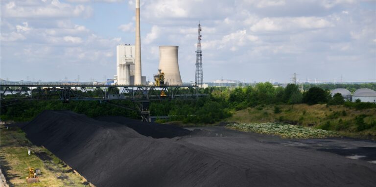 Steinkohle lagert im Kohlehafen neben dem Kohlekraftwerk Mehrum im Landkreis Peine.