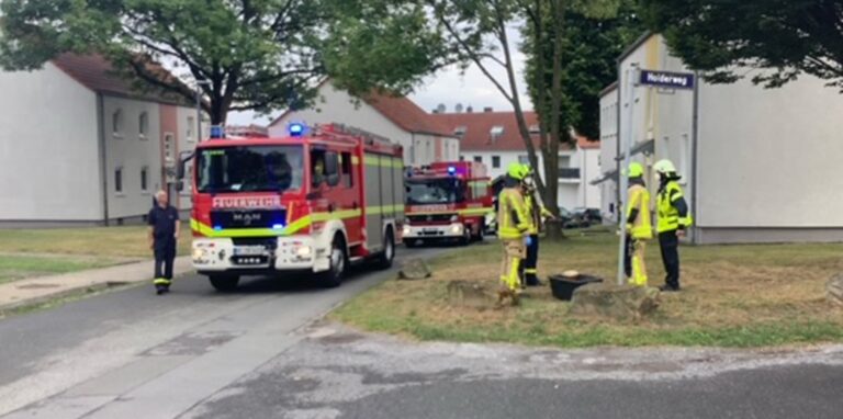 Ein kompletter Löschzug und ein Streifenwagen der Polizei rückten am Montag zum Pappelweg auf Schwerin aus.