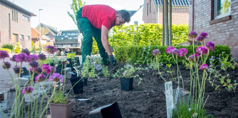 Statt grauer Schotterwüsten wünschen sich auch Castrop-Rauxels Politiker bunt blühende Vorgärten. Eine Gartenpolizei möchte sie Menschen, die auf Schotter setzen, aber nicht in den Garten schicken.