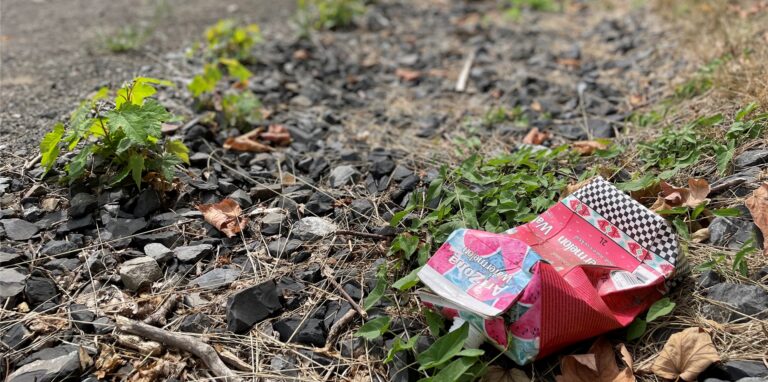 Ein leeres Tetrapak am Ufer des Rhein-Herne-Kanals. Kann man das nicht vernünftig entsorgen?