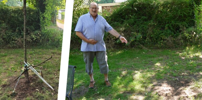 Werner Müller zeigt auf die leere Stelle, an der bis vor Kurzem noch ein junger Kirschbaum stand.