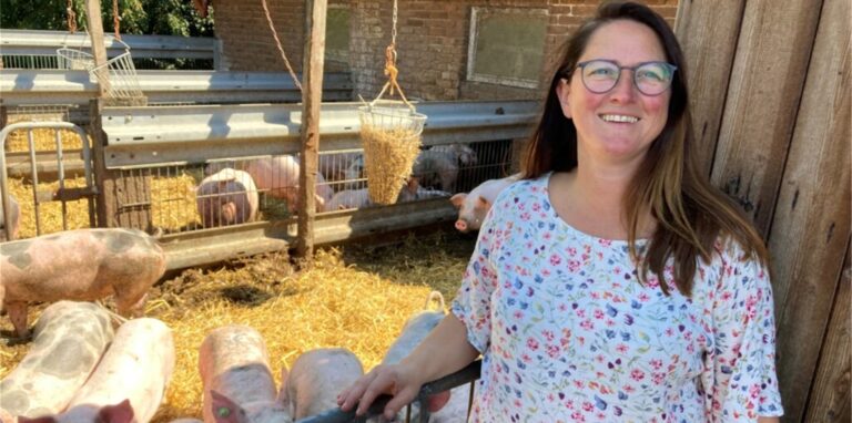 Die Schweine auf dem Hof Koch haben Auslauf nach draußen, bekommen Spielzeug und behalten ihre Schwänze.