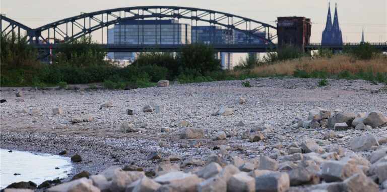 Steine liegen bei niedrigem Rheinpegel am Ufer. Aufgrund der anhaltenden Trockenheit hat der Rhein einen niedrigen Pegelstand.