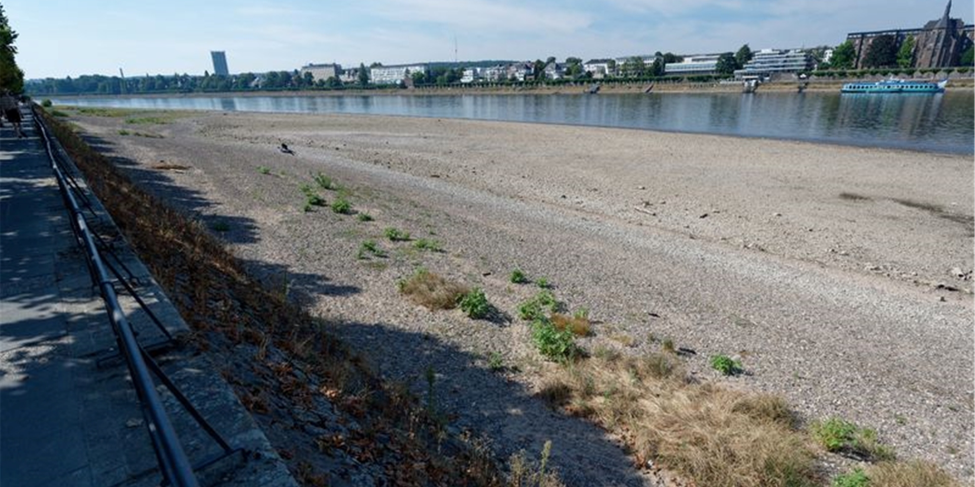 Der niedrige Wasserstand des Rheins lässt sonst überspülte Bereiche des Rheinufers bei Bonn-Beul auftauchen.
