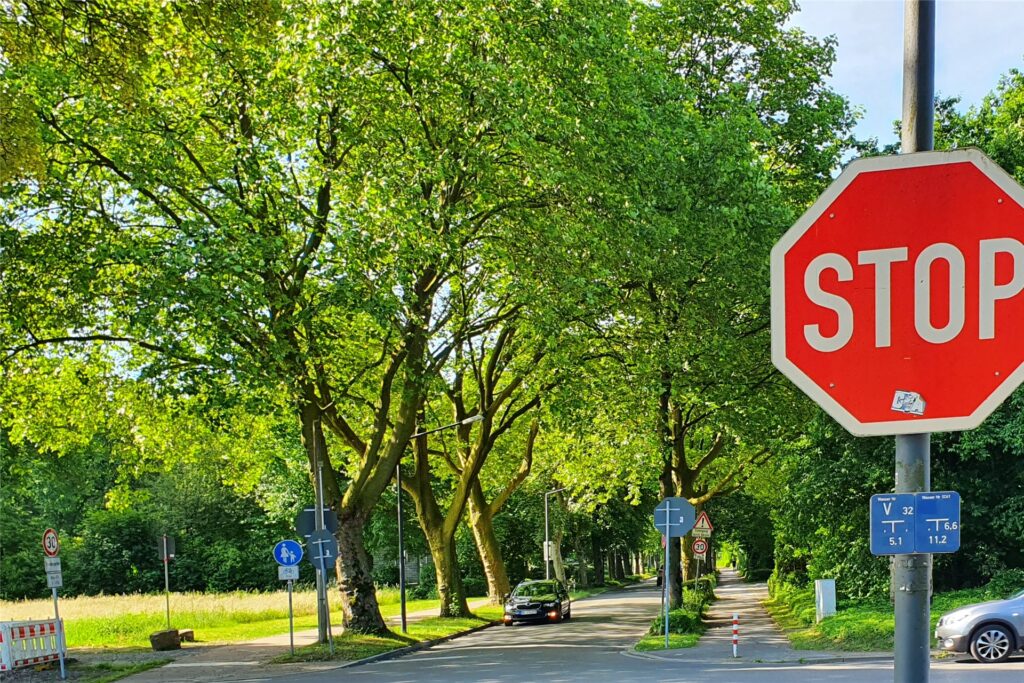 Den Grüngürtel hinten links im Bild an der Backumer Straße sieht die Bürgerinitiative durch den geplanten Bau des Feuerwehrhauses in seiner Existenz bedroht. Den Grüngürtel hinten links im Bild an der Backumer Straße sieht die Bürgerinitiative durch den geplanten Bau des Feuerwehrhauses in seiner Existenz bedroht.