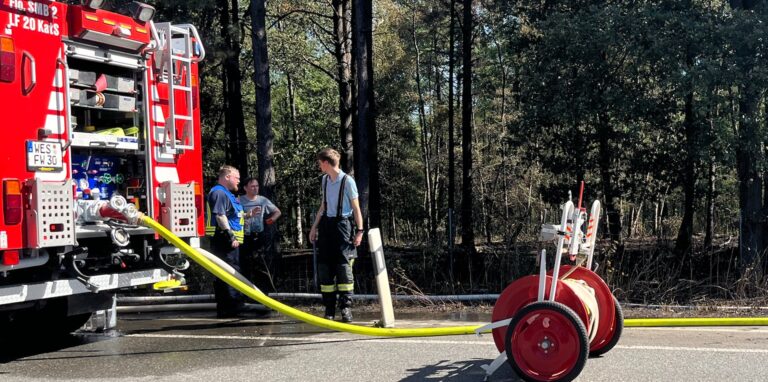 Die Feuerwehr musste auch am Tag nach dem großen Waldbrand an der B 224 wieder eingreifen.