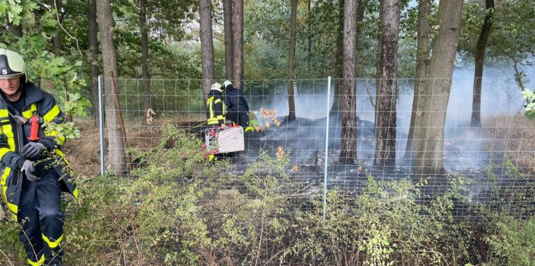 Feuerwehrleute beim Kampf gegen den Waldbrand an der B 224