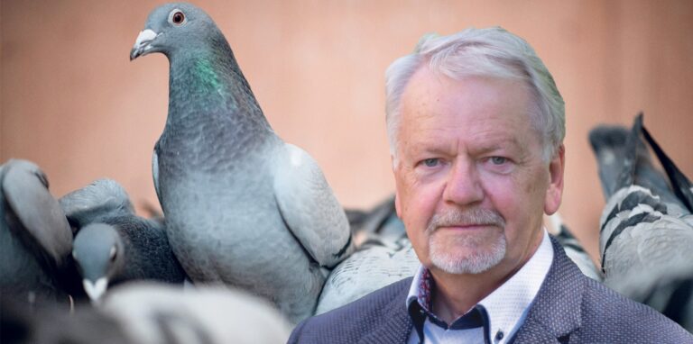 Friedhelm Fragemann, Fraktionsvorsitzender der SPD in Dorsten, äußert sich zu den Tauben am und im Wulfener Markt.