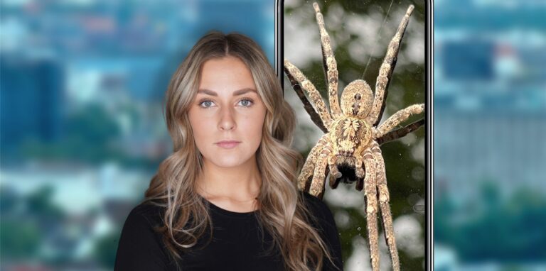 Die Video-Nachrichten aus Dortmund präsentiert am 12. September Charlotte Schuster.