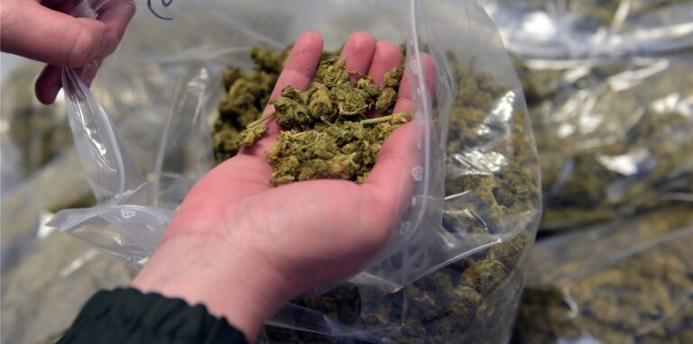 Das Bild zeigte eine durchsichtige Plastiktüte mit Marihuana. Ein paar Blütenknollen liegen auf einer Handfläche.