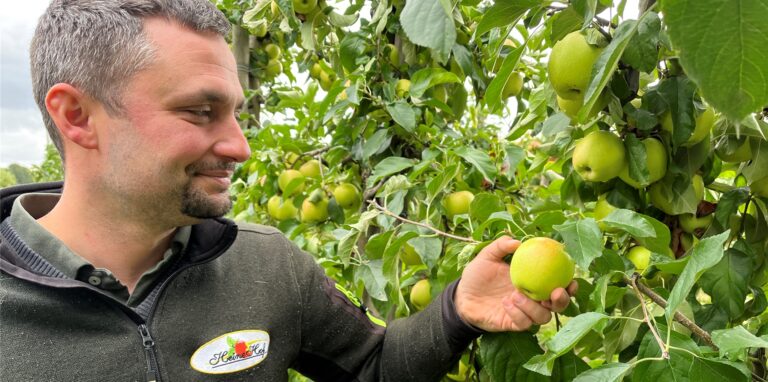 Landwirt Christoph Heine überprüft einen Apfel der Sorte Pinova.
