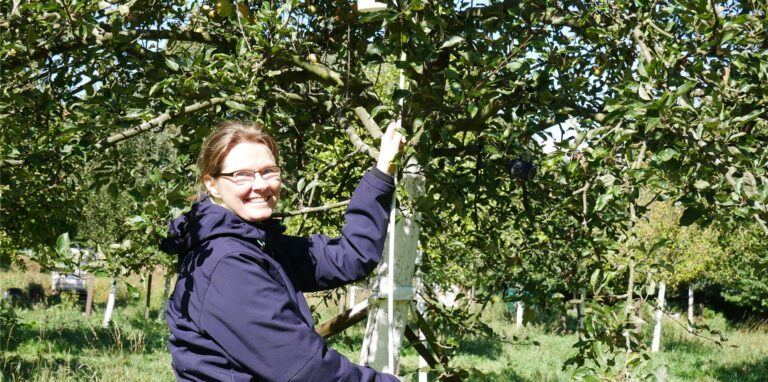 Nicole Ahlert erleichterte sich mit einem selbstgebastelten Werkzeug die Apfelernte.