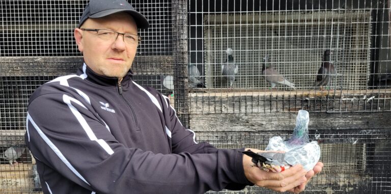 Ein Mann hält eine Taube in der Hand