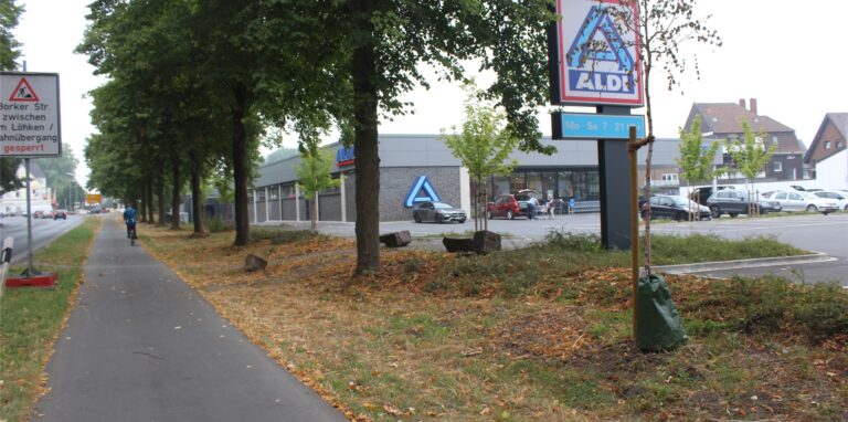 Ein Radweg, eine Baumreihe und der Aldi-Markt im Waltroper Osten im Hintergrund.