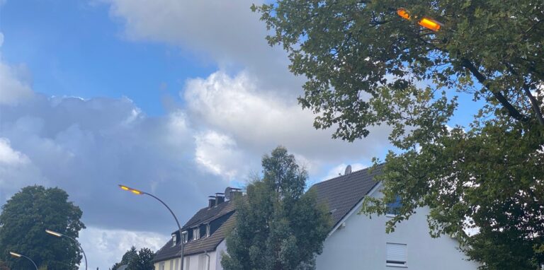 Straßenlaternen am Nordring in Waltrop über einigen Hausdächern, im Vordergrund ein Baum.