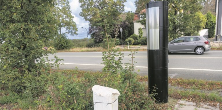 Die Blitzersäule an der Münsterstraße in Waltrop.