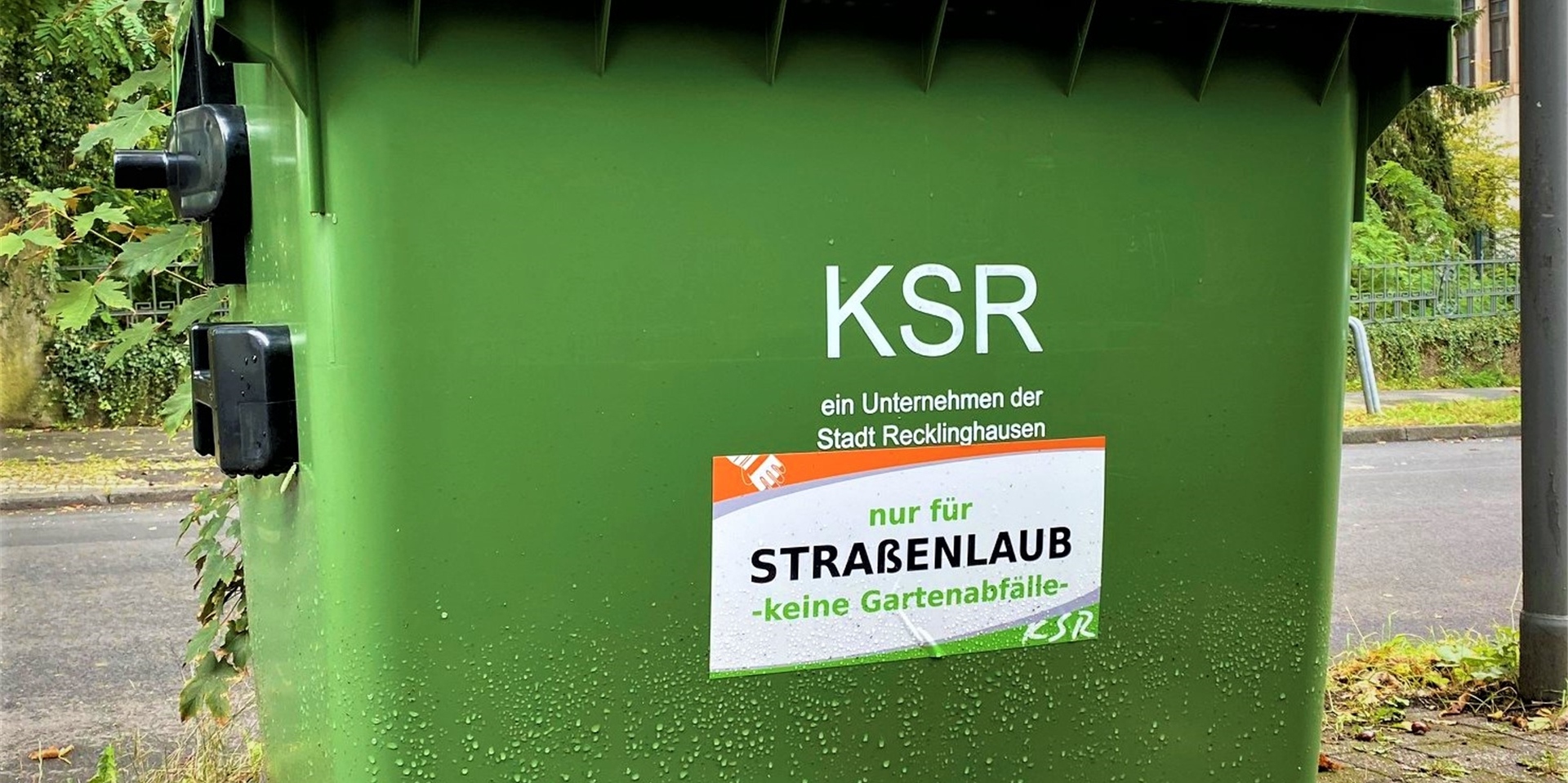 Laubtonnen der KSR