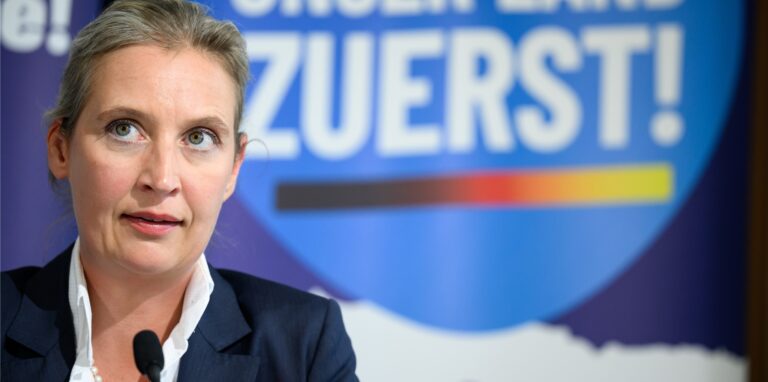 Alice Weidel, Bundesvorsitzende der AfD