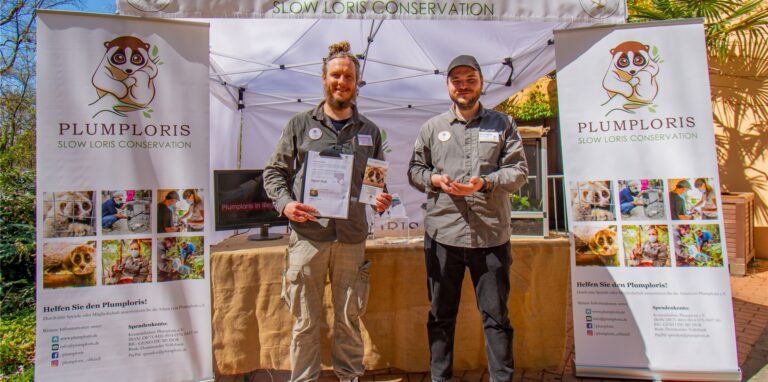 Der Verein „Plumploris“ mit Sitz im Dortmunder Zoo berichtet über seine Arbeit im Plumplori-Schutz in Asien und in Deutschland.