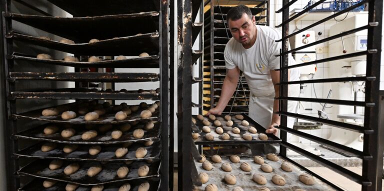 Bäcker vor einem Ofen hält ein Blech mit Brötchen-Teiglingen.