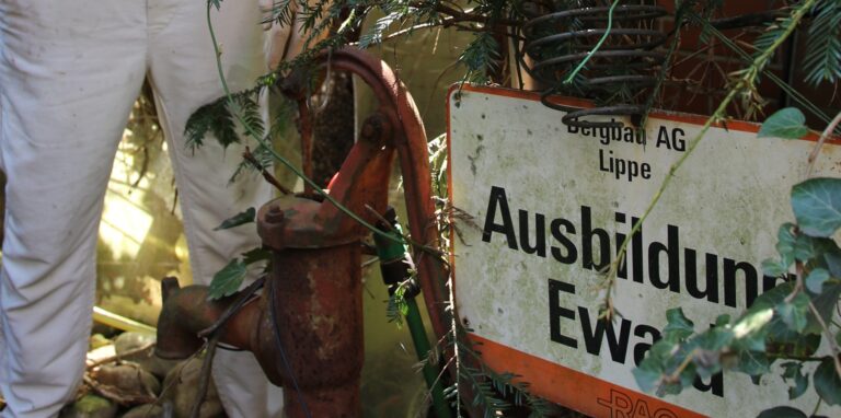 Klaus Bruhs hat in Langenbochum einen Reviergarten mit Extraschicht und Köpfchen angelegt.