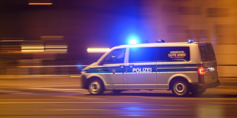 Der Polizei gingen drei Autodiebe ins Netz.