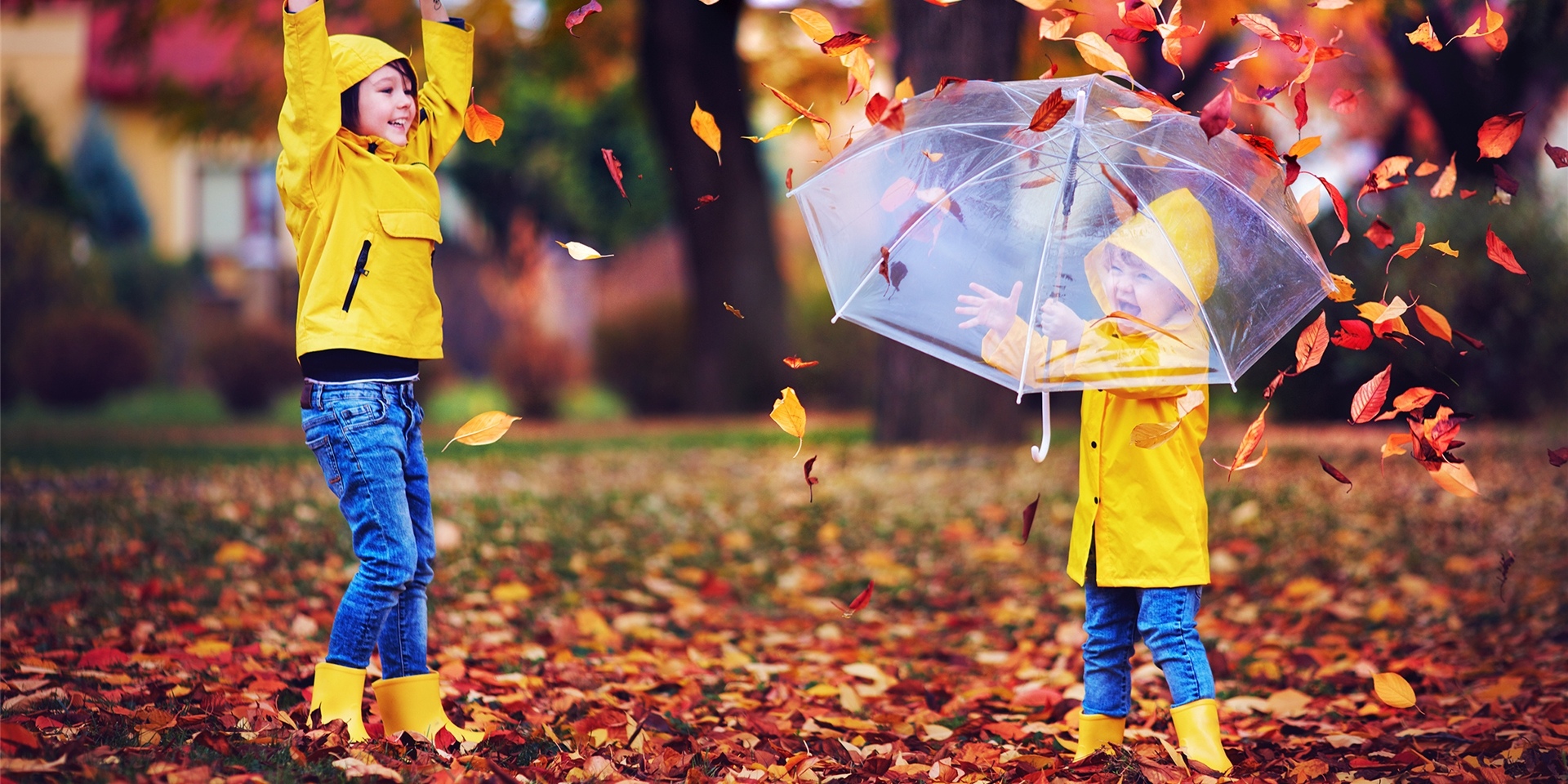 spielende kinder im herbstlaub