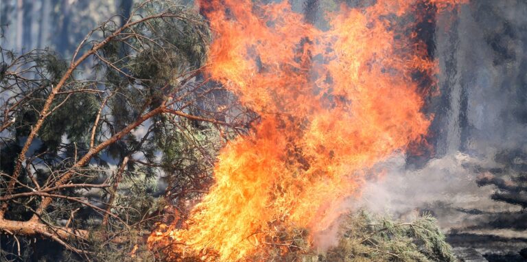 Ein Funke reicht: Während des trockenen Sommers herrscht akute Wald- und Flächenbrandgefahr.