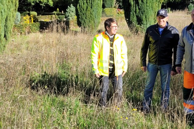 Gärtnermeisterin Heike Kassack, Bauhofleiter Gerold Schmelter und Friedhofsgärtner Ingbert Eisenblätter stehen in einer verblühten Wildblumenwiese auf dem Waldfriedhof in Oer-Erkenschwick.