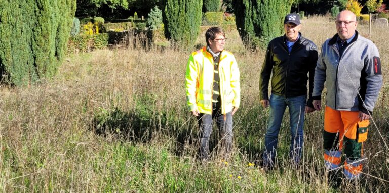 Gärtnermeisterin Heike Kassack, Bauhofleiter Gerold Schmelter und Friedhofsgärtner Ingbert Eisenblätter stehen in einer verblühten Wildblumenwiese auf dem Waldfriedhof in Oer-Erkenschwick.