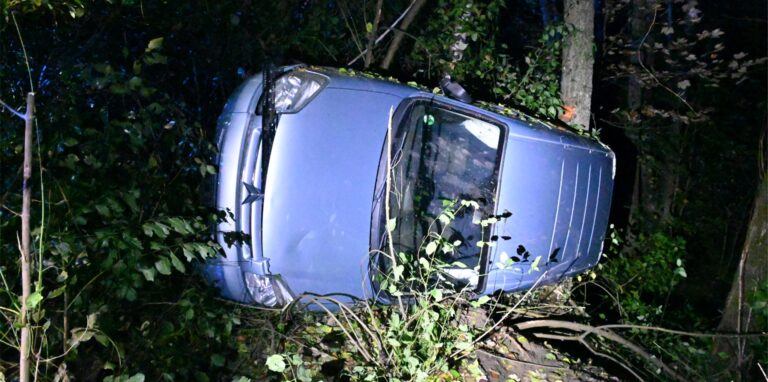 In Olsberg auf der B480 endete vor diesem Baum die riskante Fahrt mit dem gestohlenen Fahrzeug.