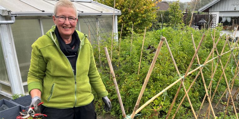 Sabine Viehweg ist in ihrer Parzelle im Kleingartenverein Gut Grün mit den Vorbereitungen auf den Winter beschäftigt.