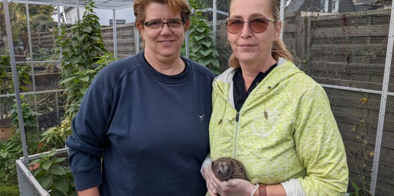Karina Timmer (l.) und Simone Paul-Urff (r.) von der Dorstener Igelhilfe werden momentan oft von Igel-Findern und -Finderinnen kontaktiert.