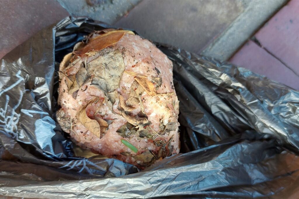 In einem Hundekotbeutel liegt ein Stück Mett, das ein Waltroper am Montag (24. 10.) gefunden hat. In einem Hundekotbeutel liegt ein Stück Mett, das ein Waltroper am Montag (24. 10.) gefunden hat.