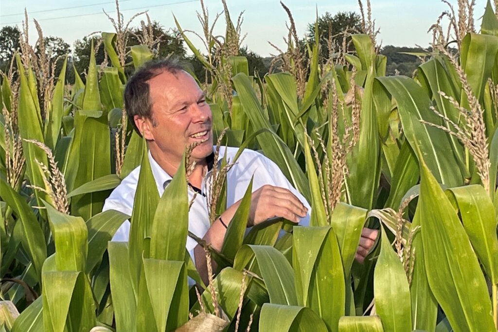Hubert Loick im Maisfeld Hubert Loick im Maisfeld