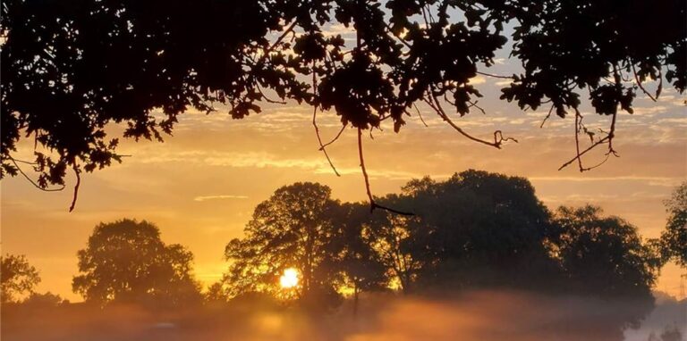 Hinter Bäumen auf einem Feld geht die Sonne auf. Der Nebel macht das Bild unscharf.