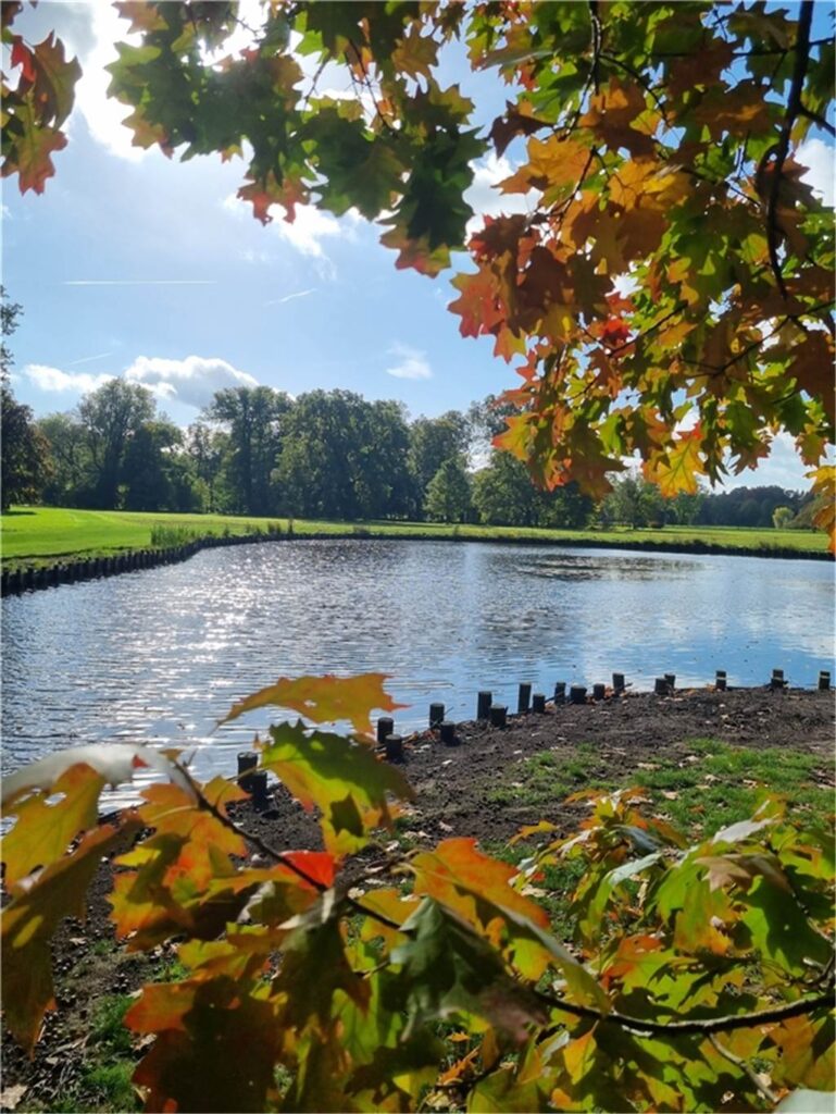 Ein kleiner See, eine grüne Wiese dahinter und rot-grüne Herbstblätter im Vordergrund laden zum Spazierengehen ein.