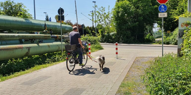 „Ende“ heißt es auf dem Verkehrszeichen. Tatsächlich endet die „Allee des Wandels“ bis auf Weiteres hier an der Langenbochumer Straße in Westerholt. Auf der anderen Straßenseite ist die Fläche für die geplante Fortsetzung zu erkennen. Den Zugang versperrt ein Bauzaun der Deutschen Bahn.