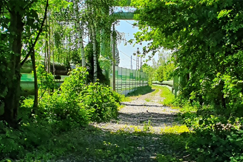 Hier zwischen den Schallschutzwänden der Bahngleise und der Fernwärmeleitung soll der Zechenbahn-Radwege in einen Jahren in Richtung Westerholter Zechengelände und Gelsenkirchen fortgesetzt werden – wenn die Bahn die Flächen freigibt. Hier zwischen den Schallschutzwänden der Bahngleise und der Fernwärmeleitung soll der Zechenbahn-Radwege in einen Jahren in Richtung Westerholter Zechengelände und Gelsenkirchen fortgesetzt werden – wenn die Bahn die Flächen freigibt.
