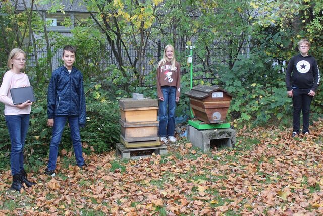 An den Bienen-Häusern auf dem Gelände des Waltroper Theodor-Heuss-Gymnasiums stehen die Schülerinnen und Schüler Anne Burchhardt, Thore Hermens, Lisa Waltemathe und Jonathan Kayser (von links).
