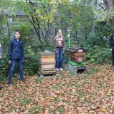An den Bienen-Häusern auf dem Gelände des Waltroper Theodor-Heuss-Gymnasiums stehen die Schülerinnen und Schüler Anne Burchhardt, Thore Hermens, Lisa Waltemathe und Jonathan Kayser (von links).