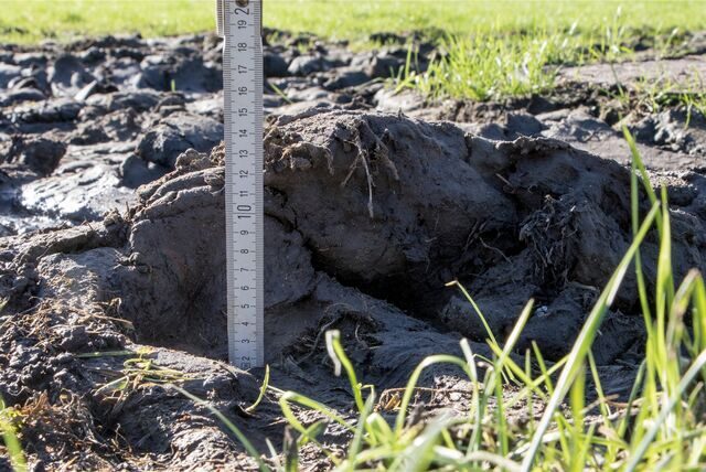 Der Höhen-Unterschied lässt sich messen. Bis zu 13 Zentimeter tief sind die Rinnen, die nach dem Abbau des Zirkuszelts zurück blieben.