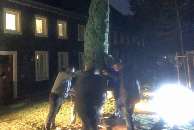 Die vier Meter hohe Tanne wurde bereits aufgestellt.
