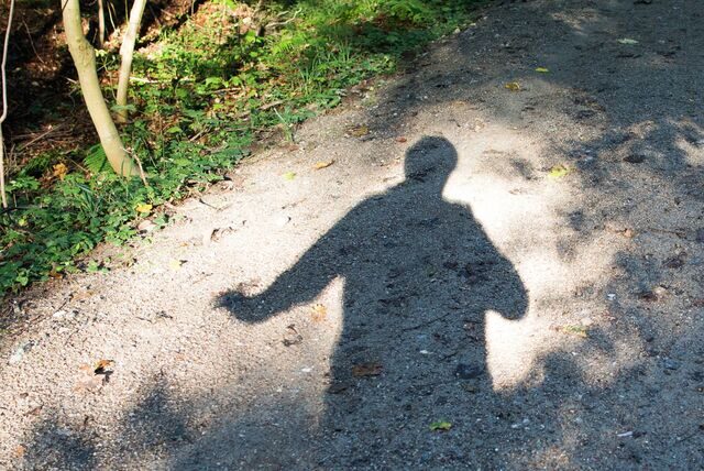 Einer 78-Jährigen lief am Dienstag (13.6.) auf dem Florian-Polubinski-Weg ein Exhibitionist über den Weg. Und bei dem einen Mal blieb es nicht.
Der Schatten eines Mannes auf einem Waldweg.